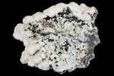 Manganoan Calcite and Kutnohorite Association - Fluorescent! #169799-1